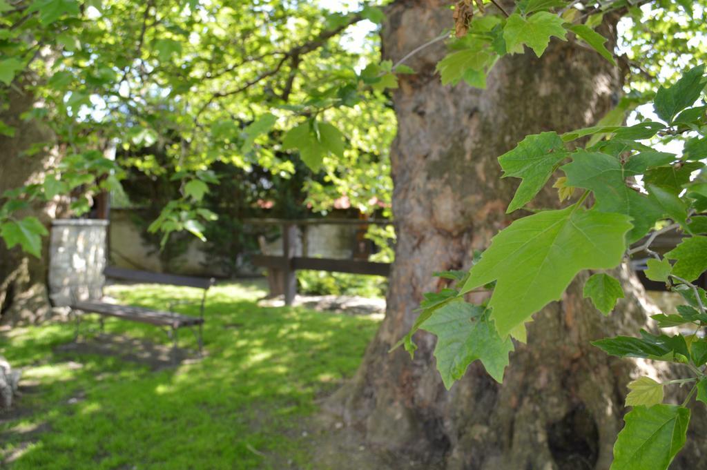 Edvy Malom Fogado Barokk Udvarhaz Pápa Buitenkant foto